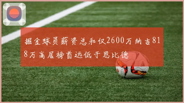 掘金球员薪资总和仅2600万纳吉818万高居榜首远低于恩比德
